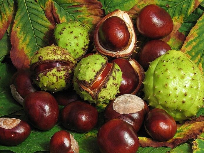 Horse chestnut for preparing VRV infusion