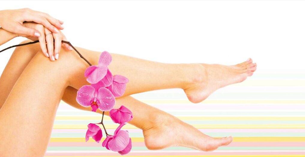 Healthy female legs without varicose veins