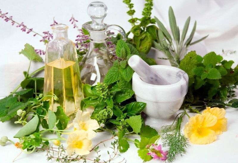 Variety of medicinal herbs for compresses for varicose veins